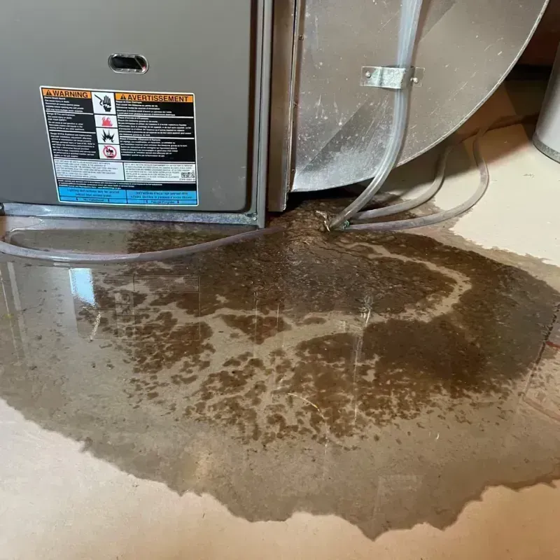 Appliance Leak Cleanup in Elmwood, IL